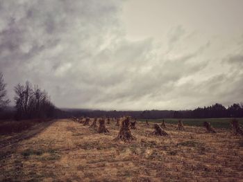 Scenic view of field against cloudy sky