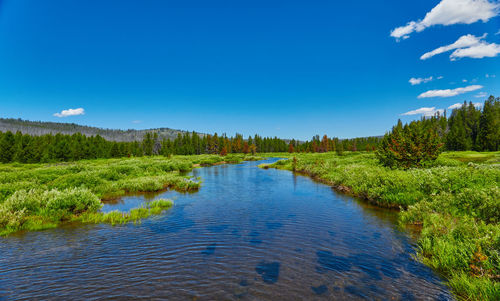 Scenic view of lake against blue sky