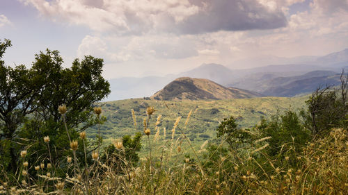 Scenic view of landscape against sky