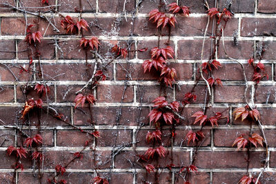 Full frame shot of red brick wall