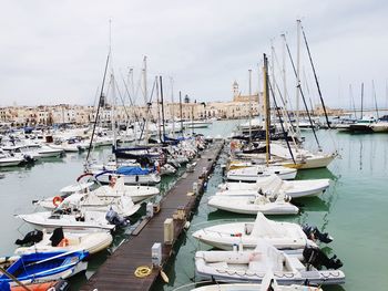 Sailboats moored in harbor