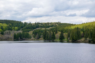 Scenic view of lake by trees against sky