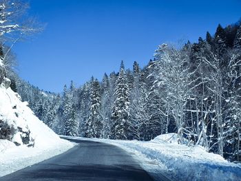 Snow covered road amidst trees against clear sky