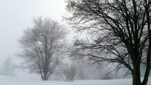 Bare tree against sky during winter