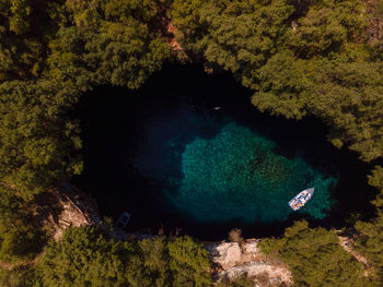 High angle view of trees by rocks in sea