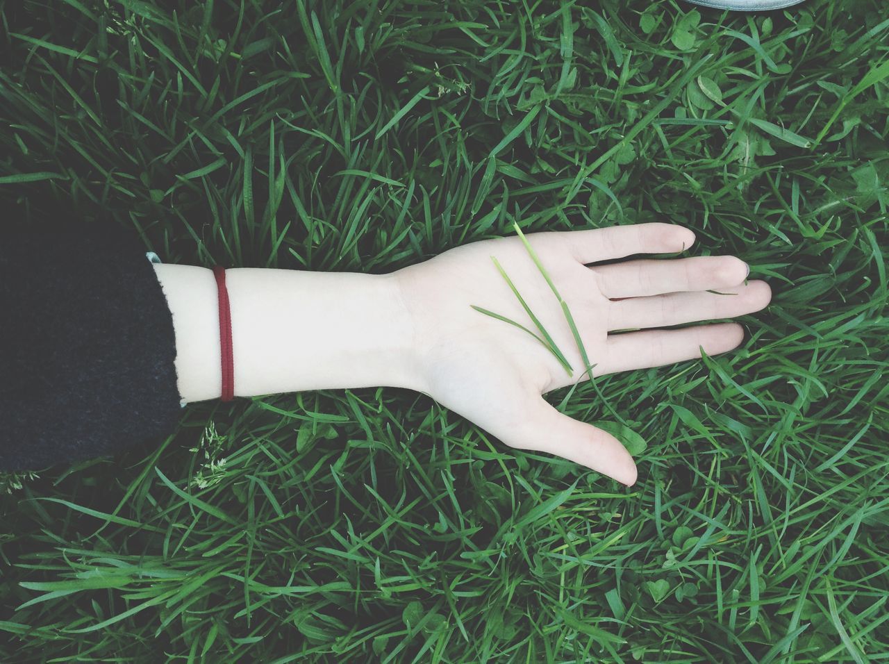 grass, field, grassy, high angle view, low section, shoe, white color, green color, close-up, day, outdoors, person, growth, footwear, plant, nature, pair