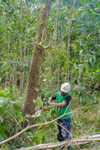 Man working on tree trunk in forest