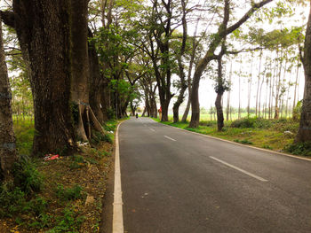 Empty road along trees in forest