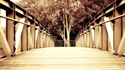 Surface level of footbridge along trees