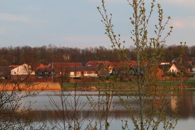 Houses and trees on field against sky