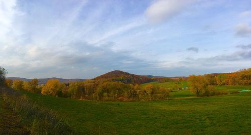 Scenic view of landscape against sky