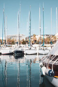 Sailboats moored in harbor