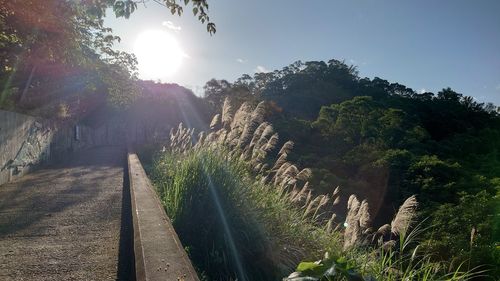 High angle view of railroad track