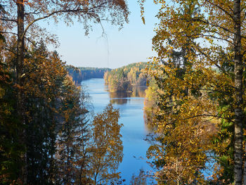 Scenic view of lake in forest against sky during autumn