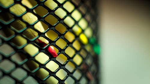 Close-up of chainlink fence