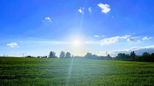 Scenic view of farm against sky