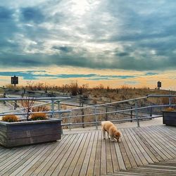 Pier on sea against cloudy sky