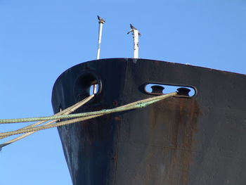 Low angle view of bird against clear blue sky