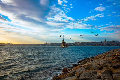 Maiden's tower and seagulls at sunset