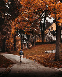 Rear view of person walking on footpath during autumn