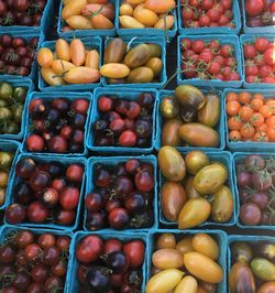 Mixed pints of multicolored heirloom cherry tomatoes for sale at farmer's market