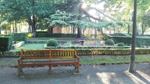 Park bench in park