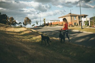 Rear view of young woman with dogs walking on footpath