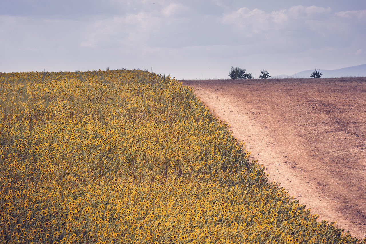 Colors of rural france