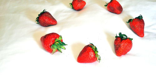 High angle view of strawberries on table against white background