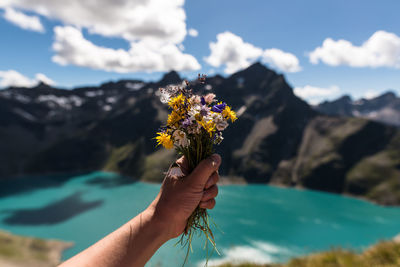 Cropped image of hand holding flowers against mountains