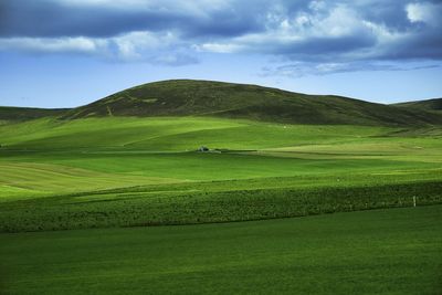 Scenic view of agricultural field against sky