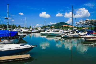 Sailboats moored at harbor