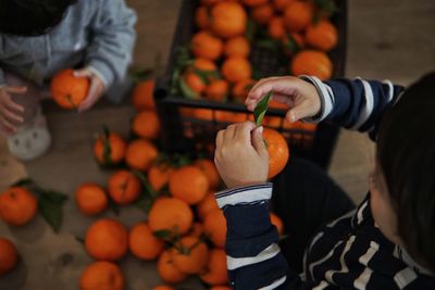 High angle view of girl holding oranges