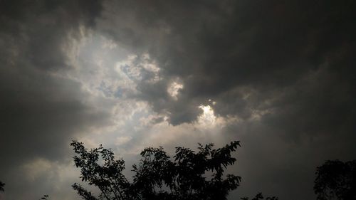 Low angle view of tree against cloudy sky