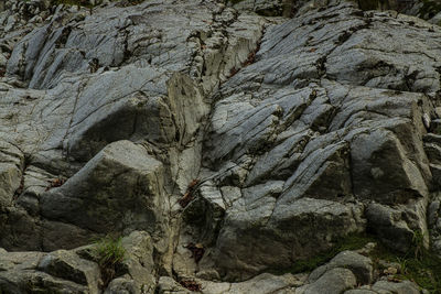 Low angle view of rock formation on land