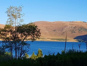 Scenic view of landscape against clear blue sky