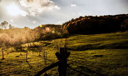 Scenic view of landscape against sky