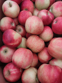 Full frame shot of apples