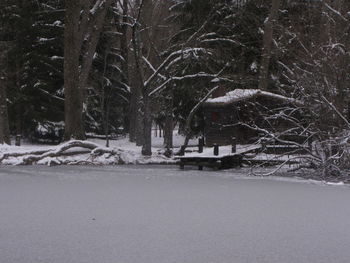 Bare trees on snow covered landscape