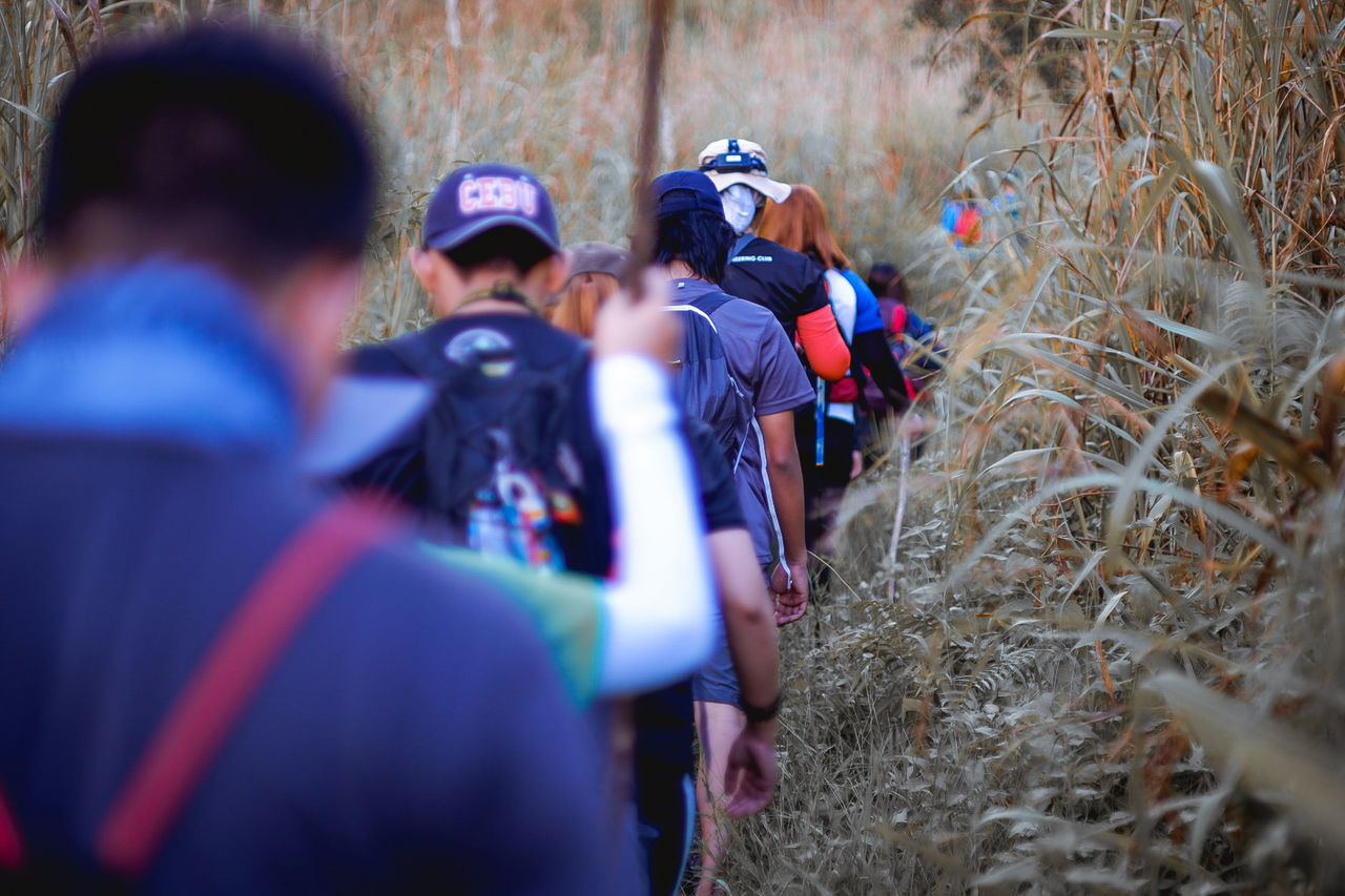 group of people, selective focus, men, tree, real people, people, clothing, plant, nature, day, rear view, land, outdoors, group, helmet, walking, medium group of people, sport, lifestyles, uniform