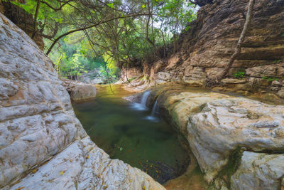 Stream flowing through rocks in forest