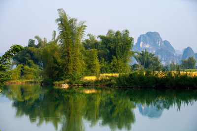 Scenic view of lake by trees against sky