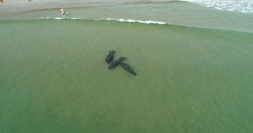 High angle view of sea shore