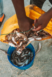 Low section of man preparing fish