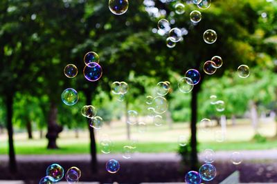Close-up of bubbles 