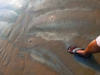 Low section of man standing in water