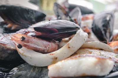 Close-up of dead fish on table