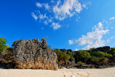 Trees and rocks against blue sky