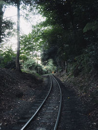 Railroad tracks amidst trees in forest