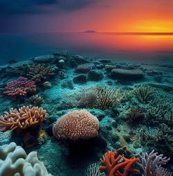 Tropical coral reef in sunset
